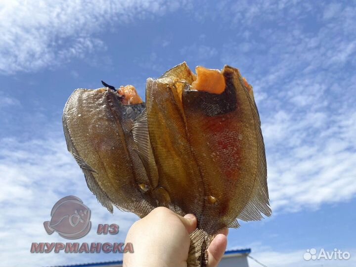 Ерш Мурманский