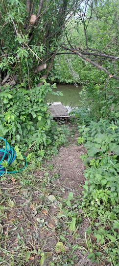 Участок 10 сот. (СНТ, ДНП)