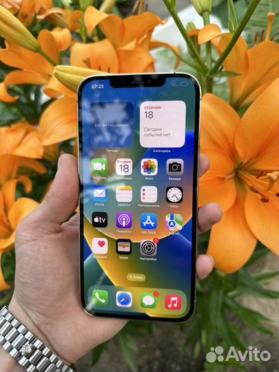 iPhone 12 Pro Max 256Gb