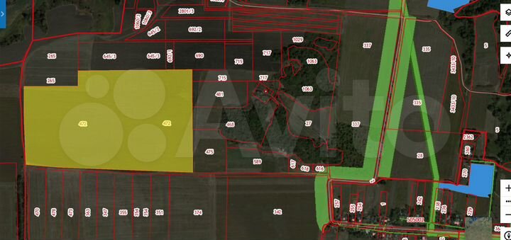 Участок 24,86 га (СНТ, ДНП)