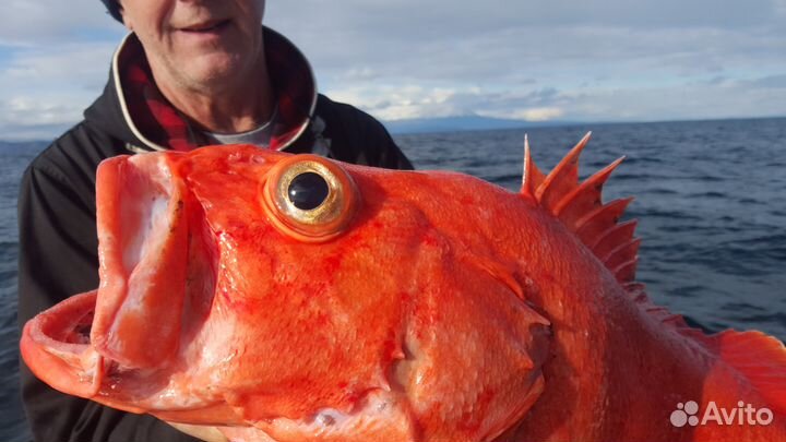 Аренда катера морские прогулки