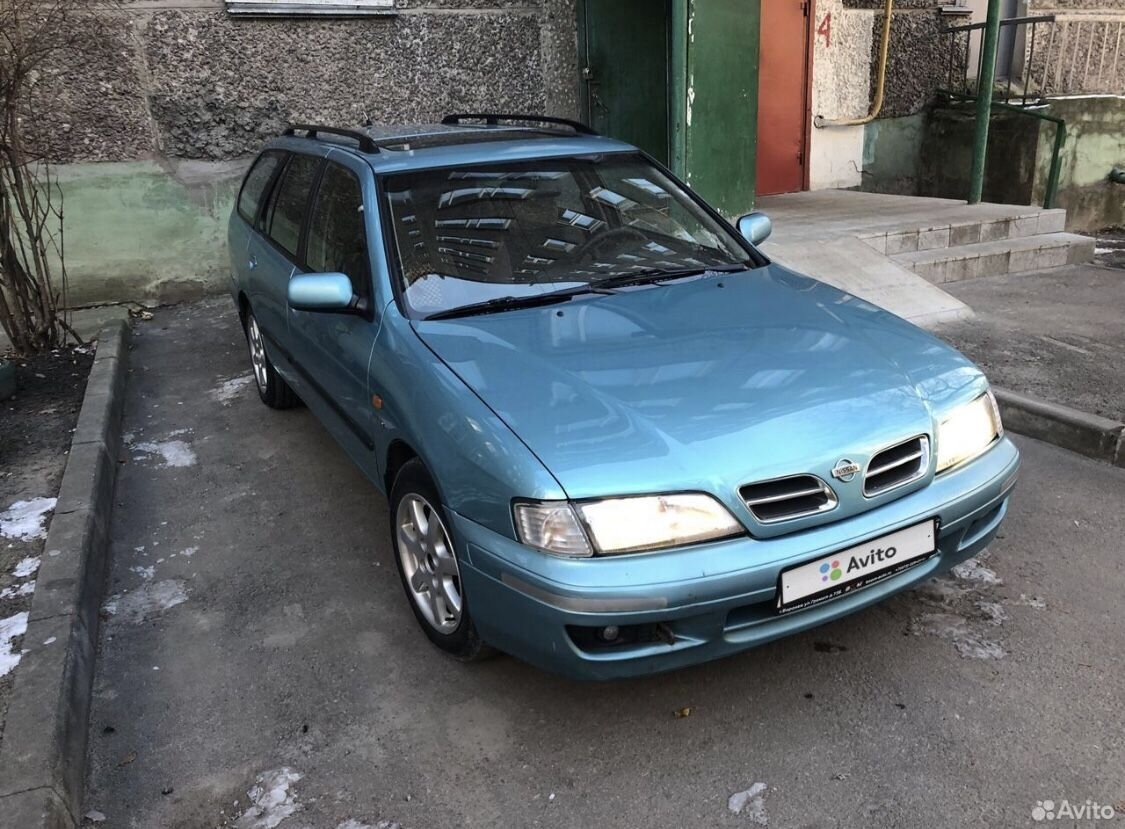 Nissan Primera: фото владельца