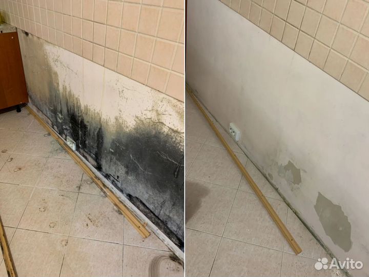 Уничтожение клопов обработка тараканов Дезинфекция