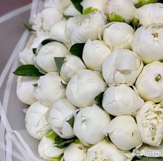 Пионы Цветы Доставка