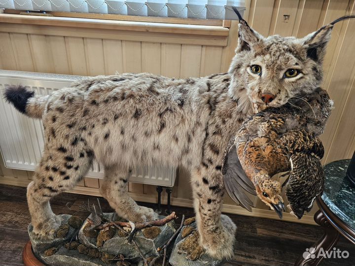 Чучело рысь в полный рост имитация