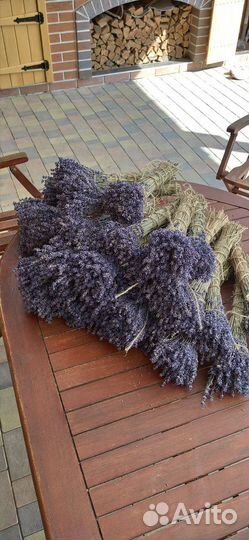 Лаванда сухоцвет