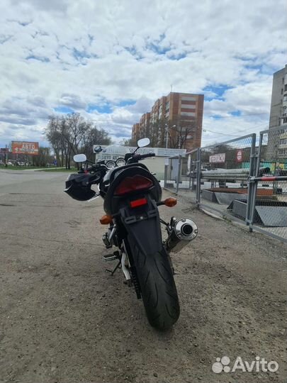 Suzuki bandit gsf1200s