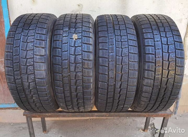 Dunlop Winter Maxx WM01 215/50 R17 96V