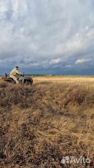 Квадроцикл stels dinli 600gt efi