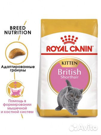 Корм для кошек британской породы Роял Канин 4 кг