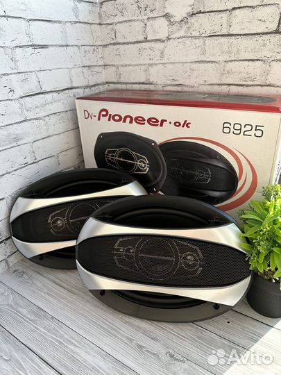 Динамики pioneer овалы