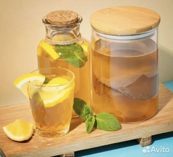 Чайный гриб Комбуча