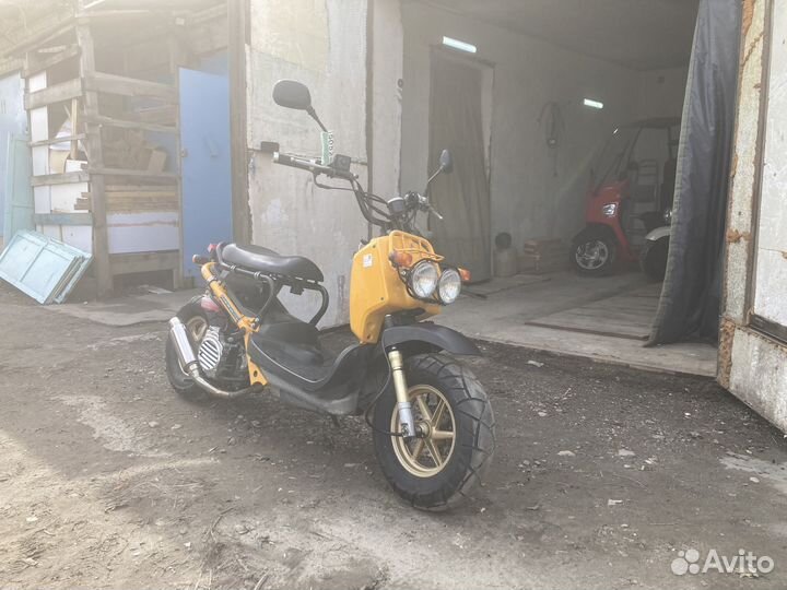 Honda zoomer ruckus