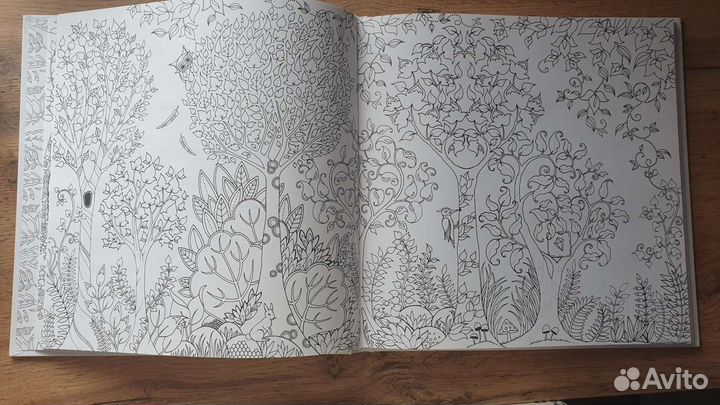 Зачарованный лес.Джоанна Бэсфорд