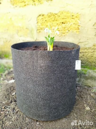 Контейнеры из геотекстиля для растений, от 1литра