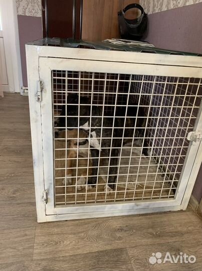 Клетка для собак