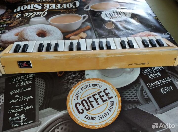 Пионика мелодия-3