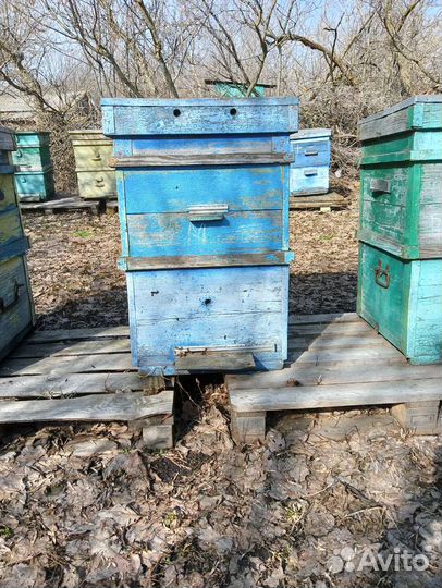 Улей для пчел б/у