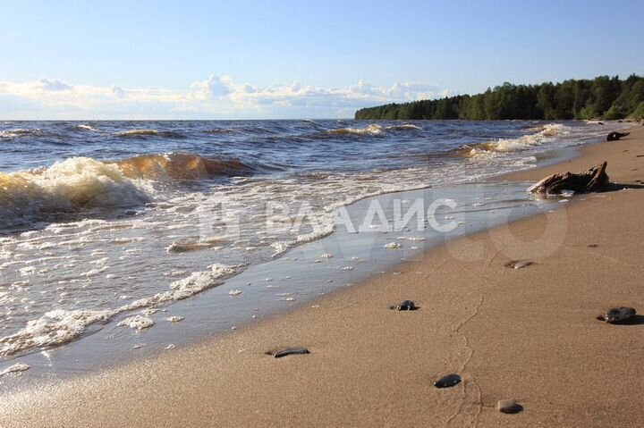 Участок 12 сот. (ИЖС)