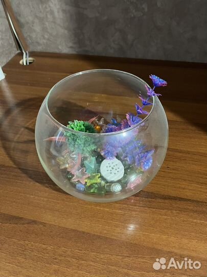 Аквариум 3л