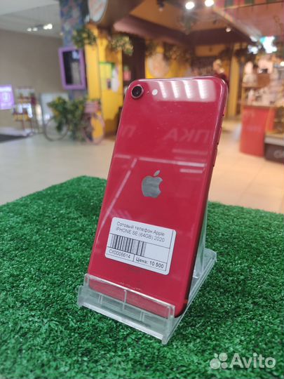 iPhone SE (2020), 64 ГБ