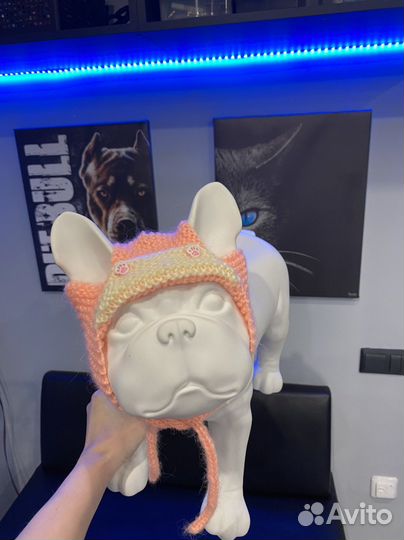 Шапки для собак