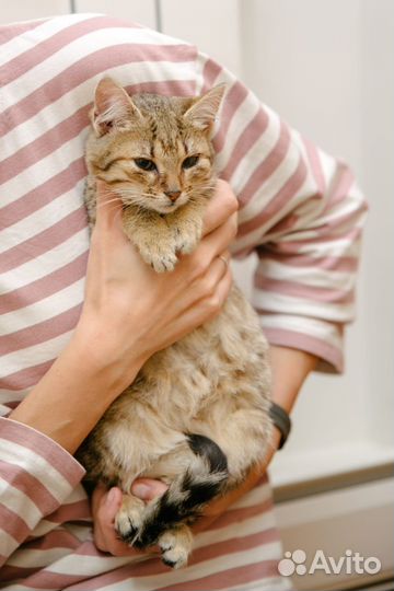 Самая замурчательная девочка