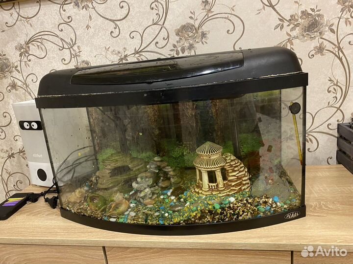 Аквариума 60 литров