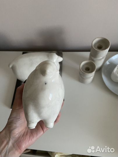 Овцы декоративные