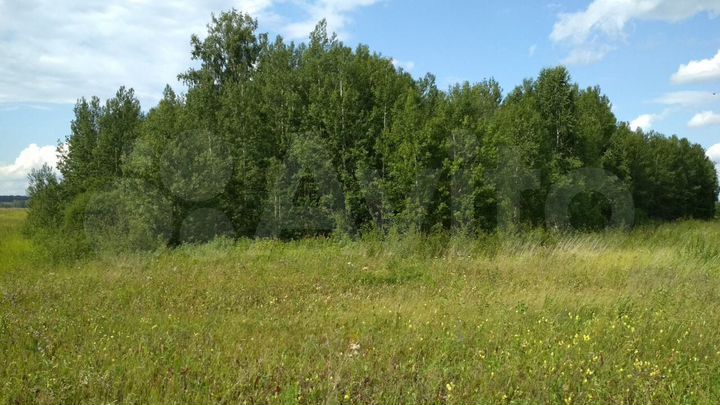 Участок 7,12 га (СНТ, ДНП)