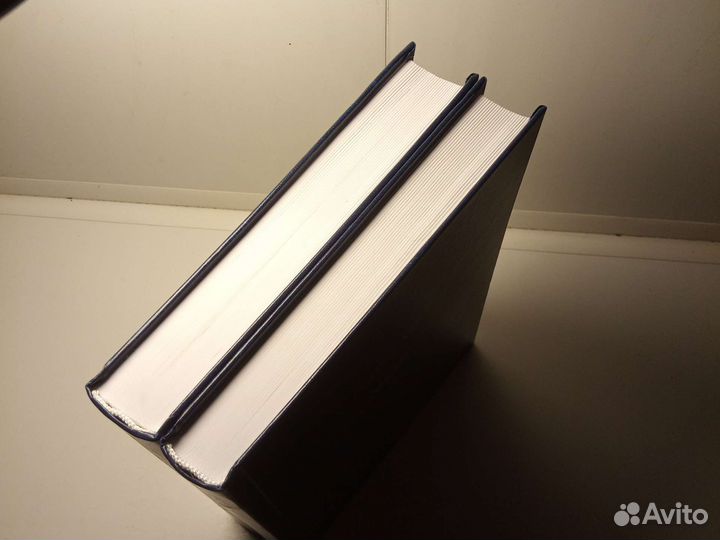 Книга Г. И. Ханин