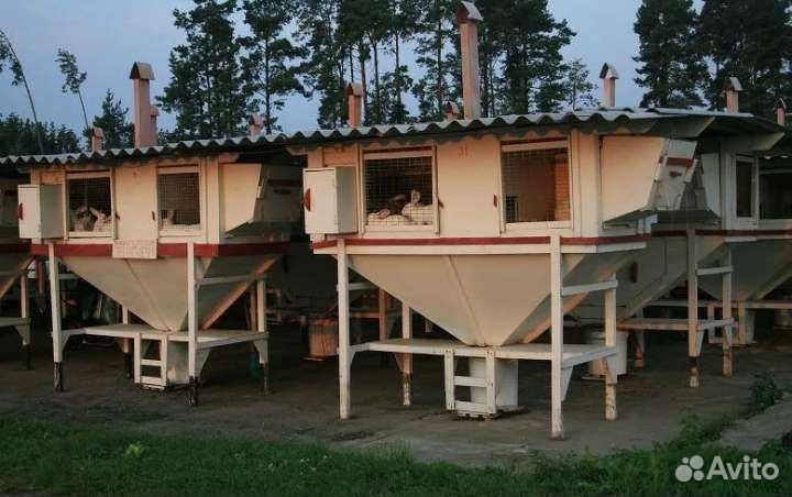 Клетка для кроликов