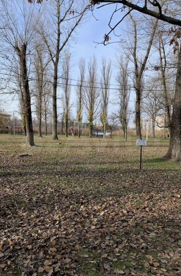 Участок 19,9 сот. (ИЖС)