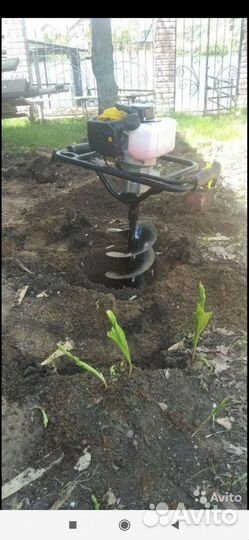 Мотобур в аренду