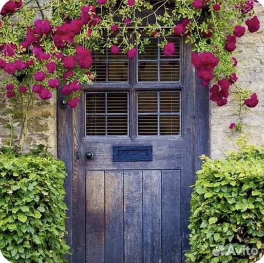 Вышивка крестом набор