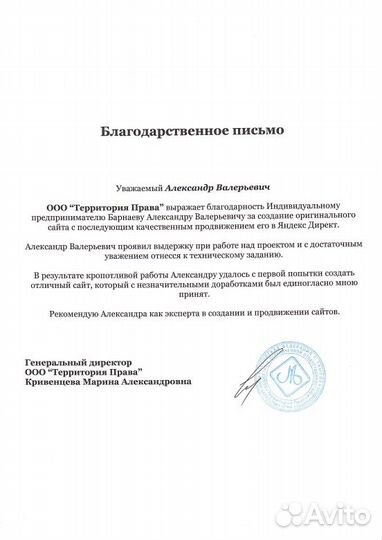 Создание и продвижение сайтов в топ Мытищи