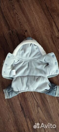 Одежда для собак