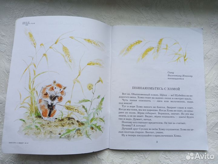 Приключения Хомы Иванов