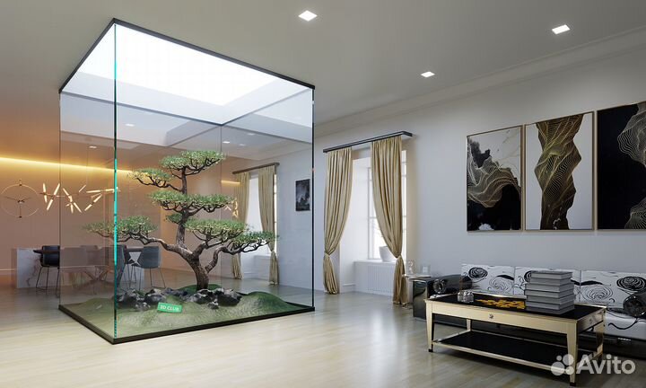 Зd визуализатор