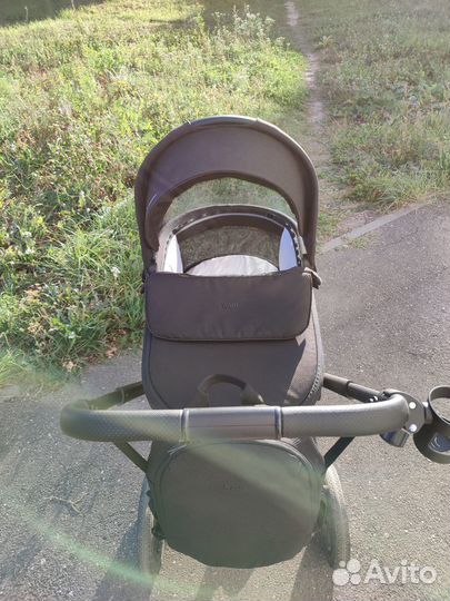 Коляска 2 в 1 Rant Flex Pro