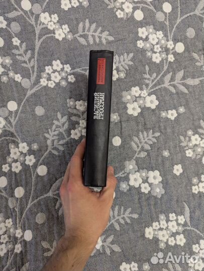 Василий Гроссман - жизнь и судьба