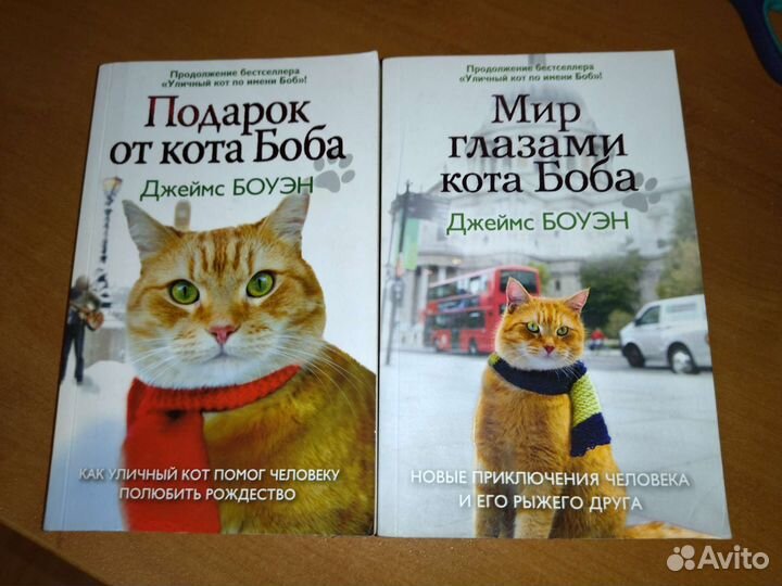 Уличный кот по имени боб Книга