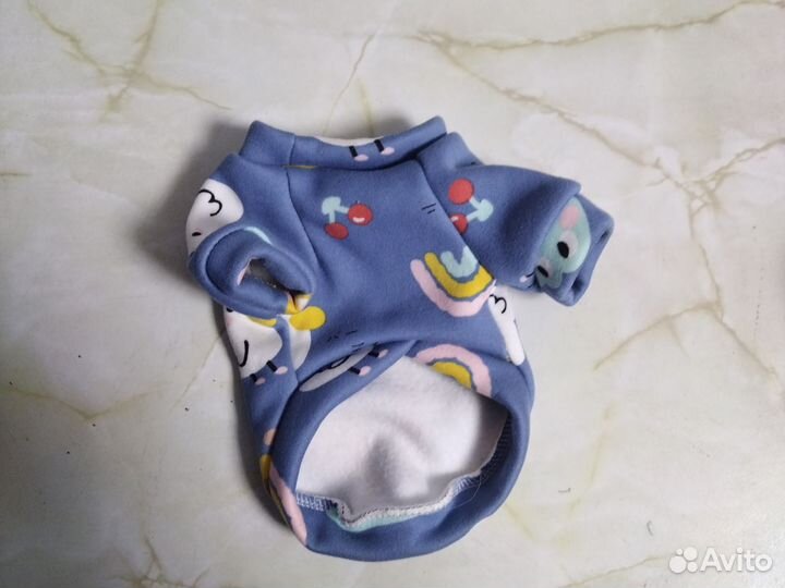 Одежда для кошек