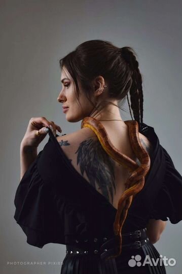 Фотосессии с животными/лошадьми/собаками