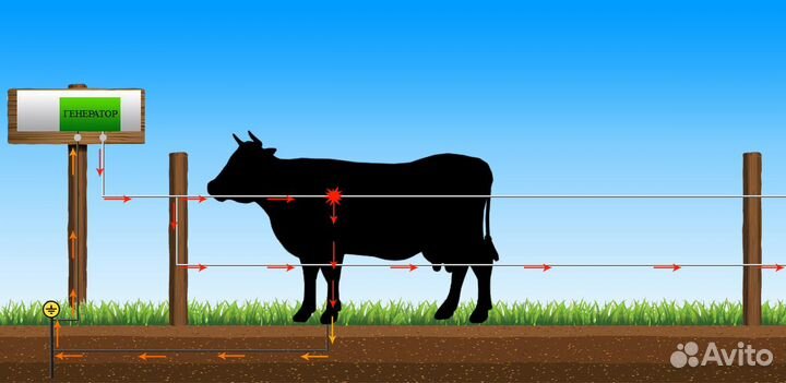 Электропастух