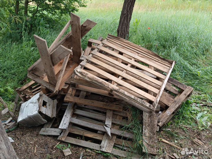 Дрова бесплатно самовывоз