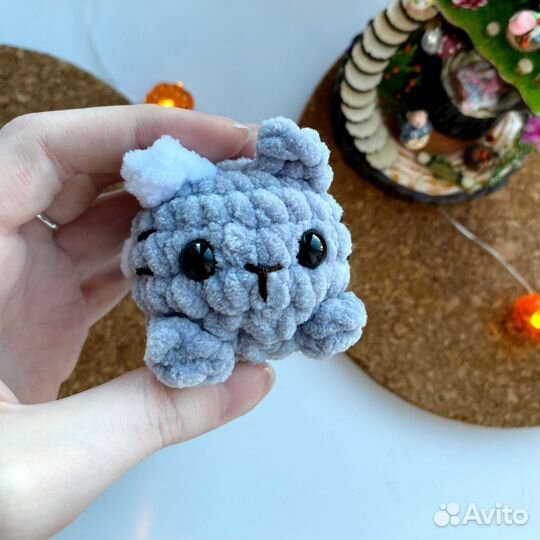 Парные котята