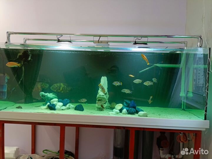 Аквариум