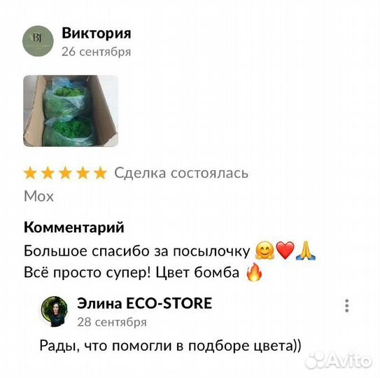 Фитопанно из мха 50 см