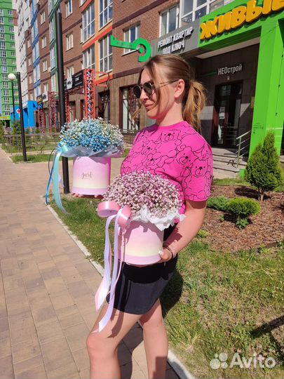 Гипсофила в коробке